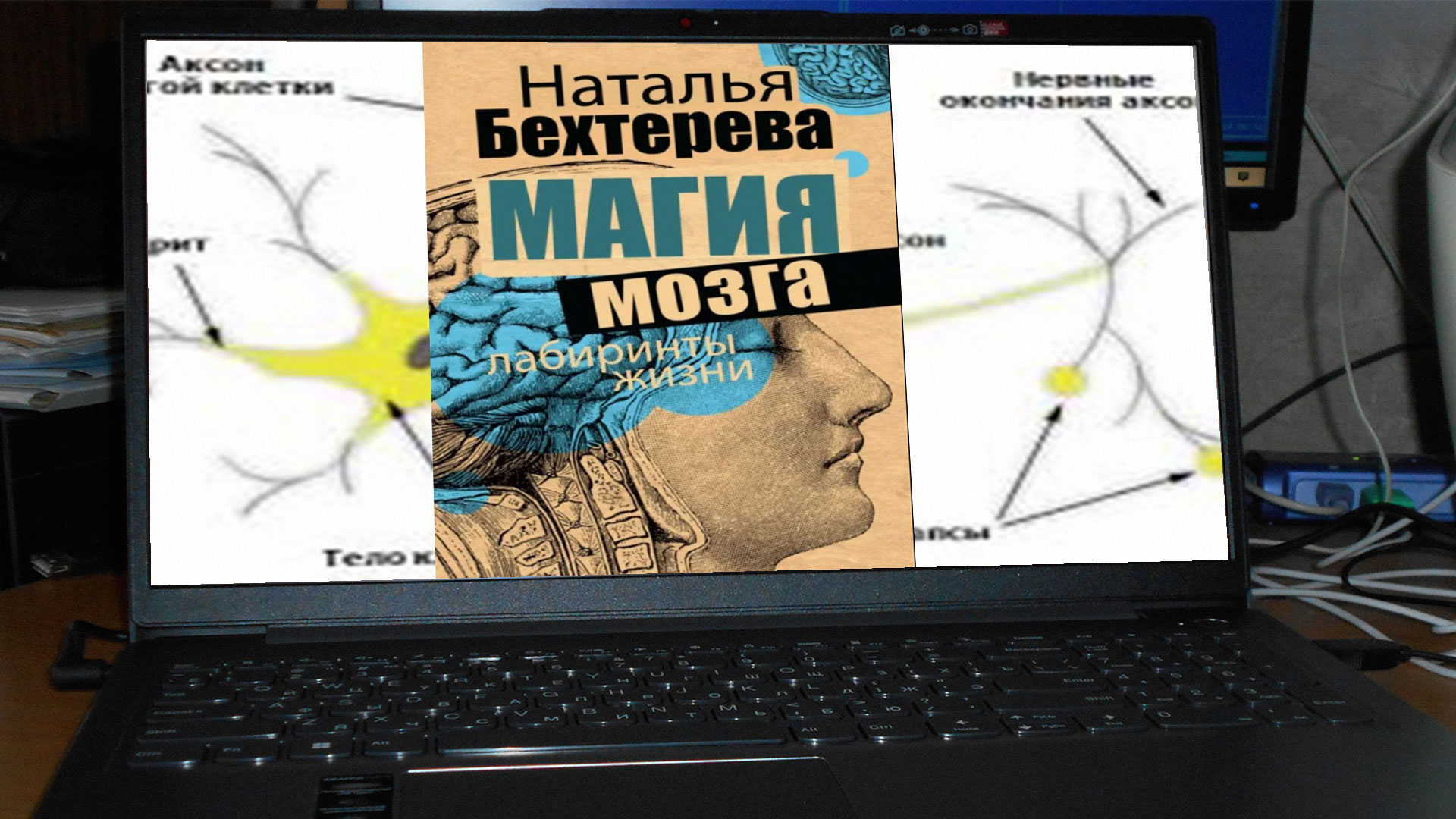 Автор &mdash; Наталья Петровна Бехтерева.