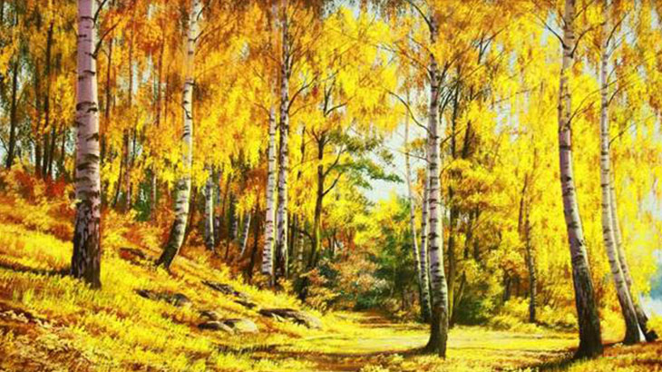 Золотая осень - в золото одетый лес